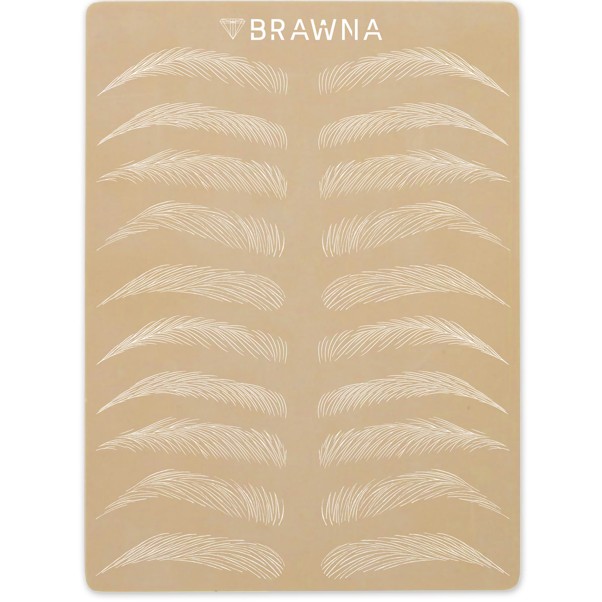 Permanent Makeup Kit for Professionals and Beginners.